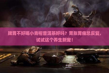 脾胃不好喝小青柑普洱茶好吗