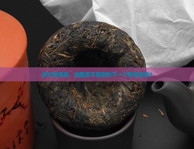 海兴普洱茶加盟