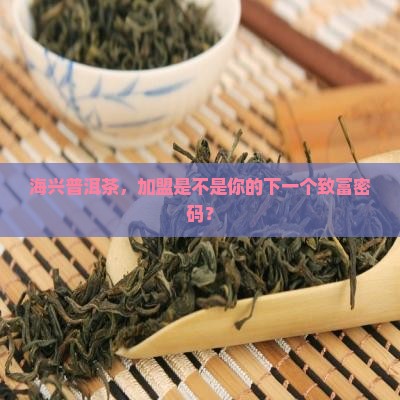 海兴普洱茶加盟