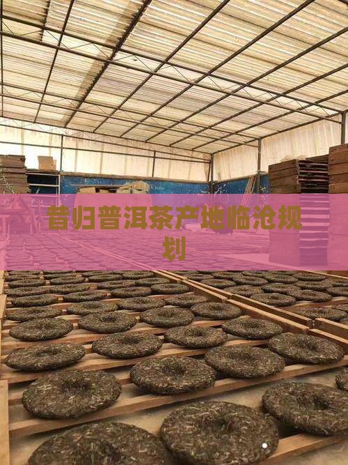 昔归茶产区规划