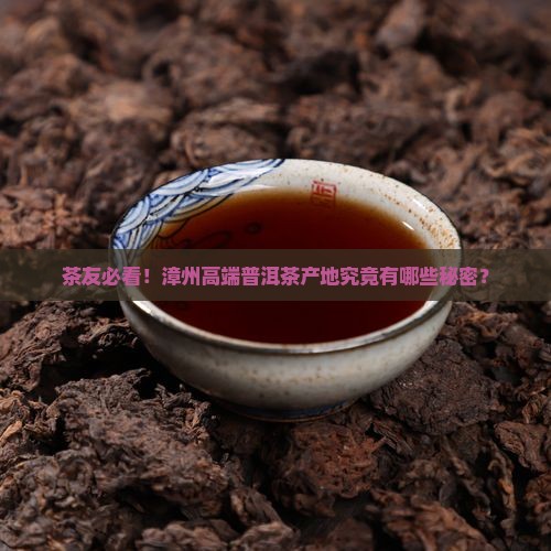 漳州高端普洱茶产地