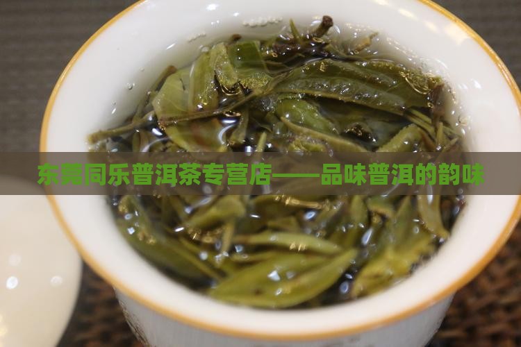 东菀普洱茶同乐茶行