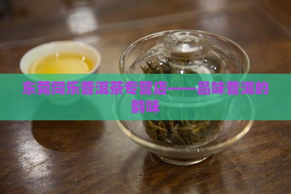 东菀普洱茶同乐茶行