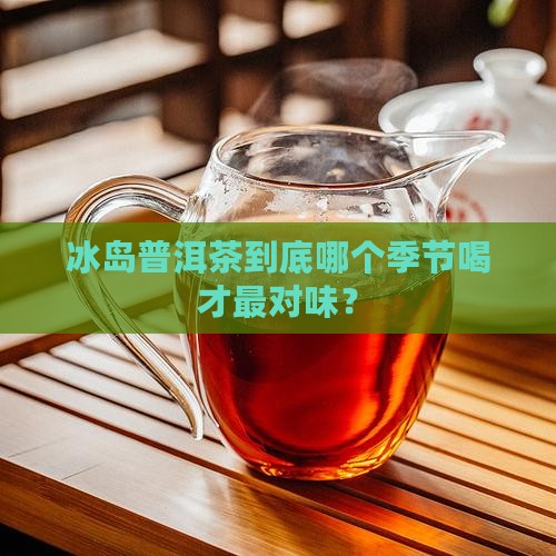 冰岛普洱茶什么季节喝