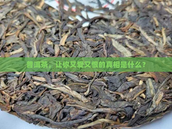 普洱茶有什么好处坏处