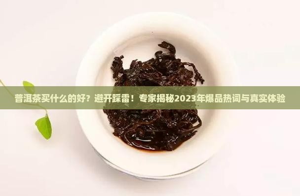 普洱茶买什么的好
