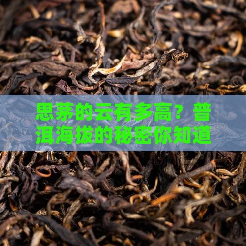 普洱思茅海拔有多高