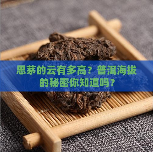 普洱思茅海拔有多高