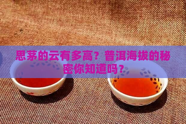 普洱思茅海拔有多高