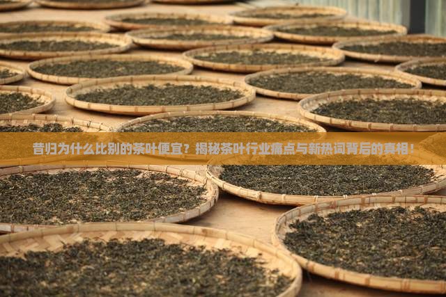 昔归为什么比别的茶叶便宜
