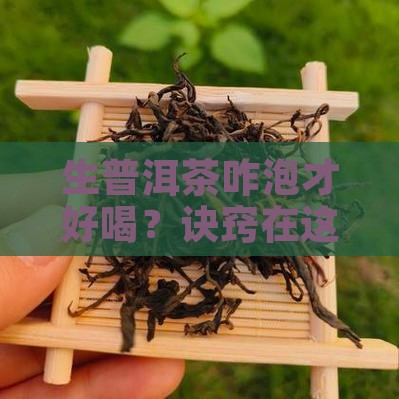生普洱茶如何泡才好饮