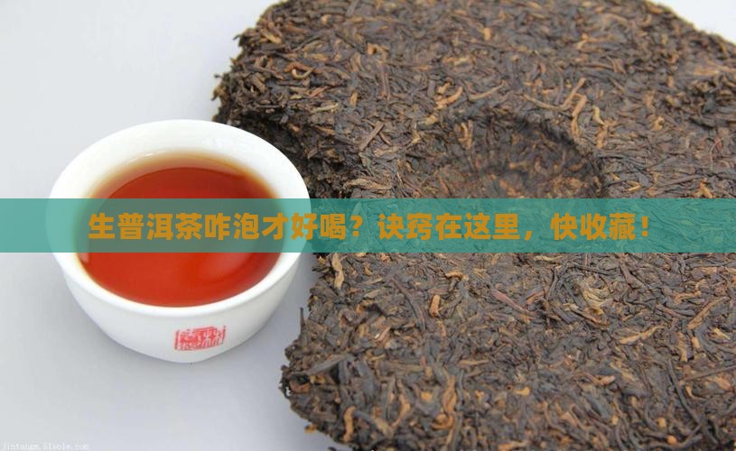 生普洱茶如何泡才好饮