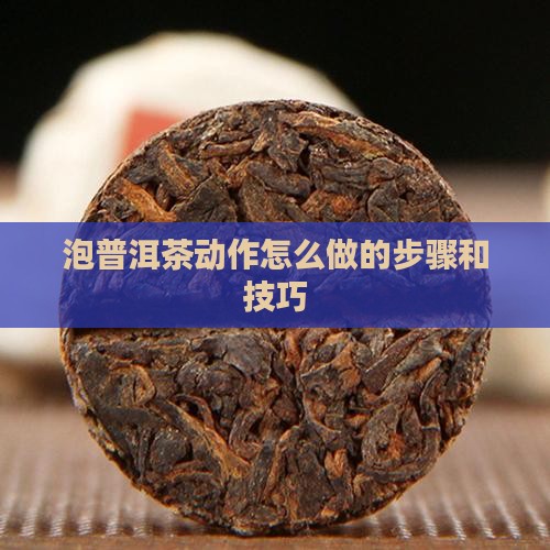 泡普洱茶动作怎么做的