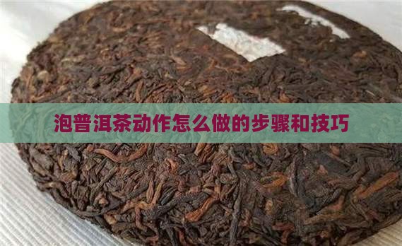 泡普洱茶动作怎么做的