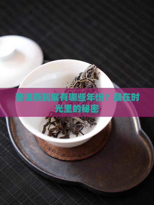 普洱茶有什么年份的