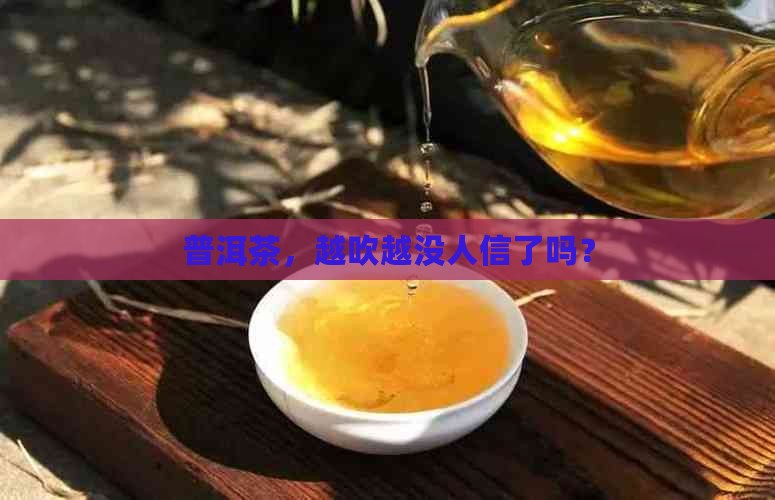 普洱茶越吹越失信用