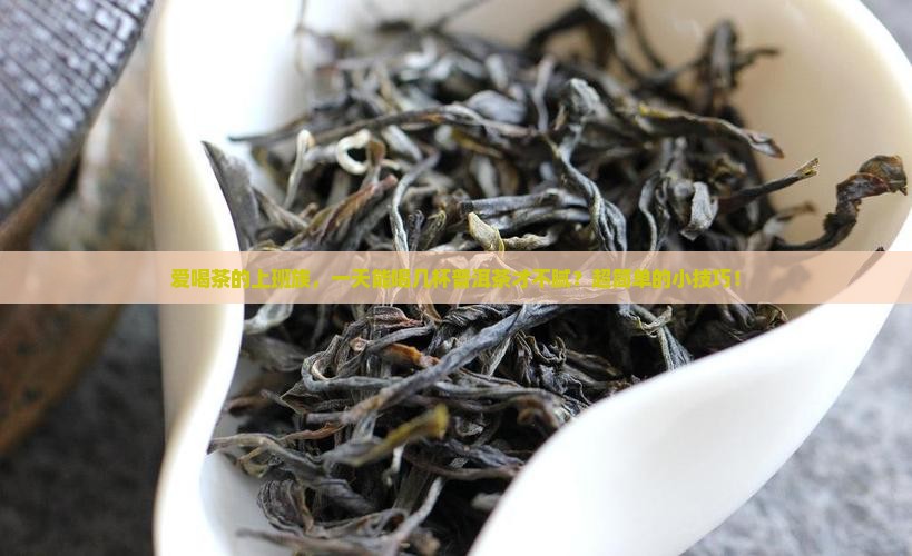 普洱茶一天可以喝几重口味