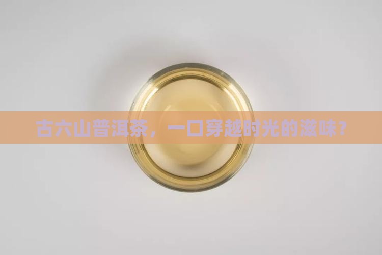 古六山普洱茶品牌