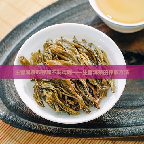 生普洱茶咋存放不发霉呢