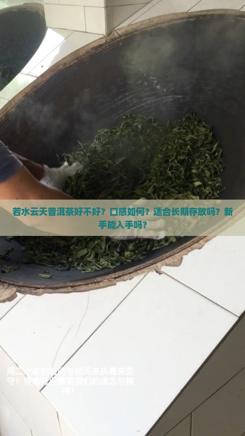 若水云天普洱茶好不好