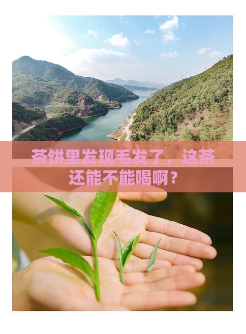 茶饼发现毛发还能喝吗