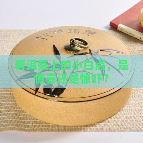普洱茶表方面起的霉点叫啥