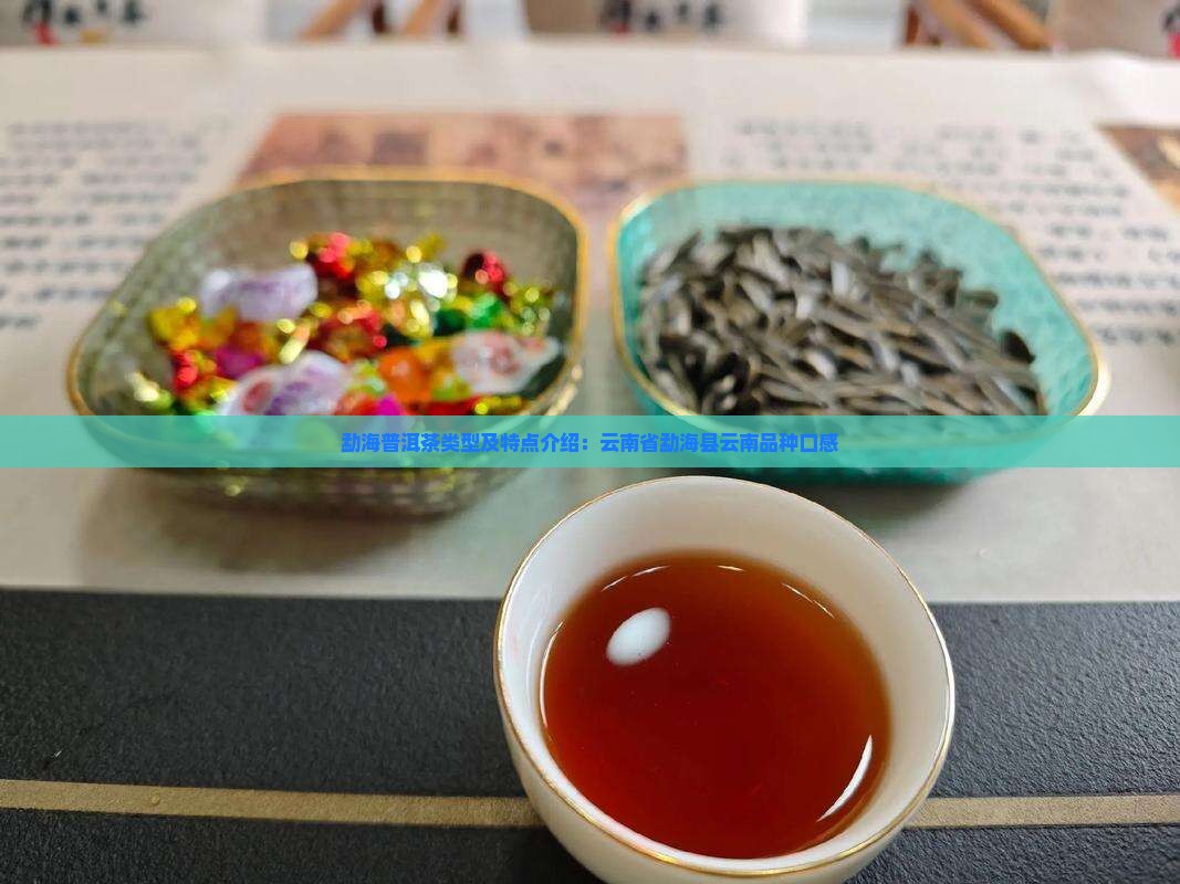 勐海普洱茶类型及特点介绍