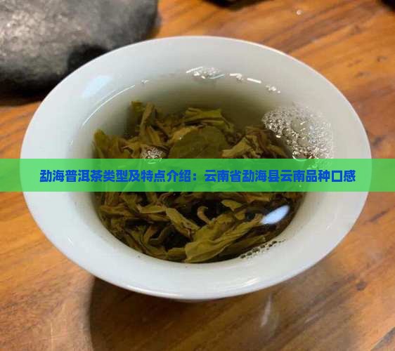 勐海普洱茶类型及特点介绍