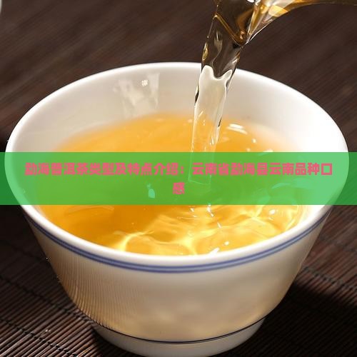 勐海普洱茶类型及特点介绍