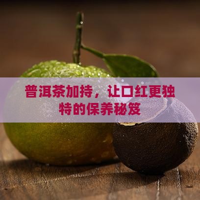 普洱茶保养口红
