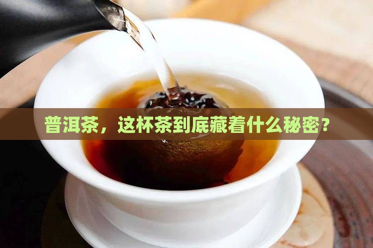 普洱茶处于什么档次的茶
