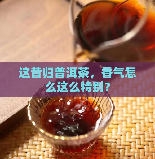 昔归普洱茶香气特殊