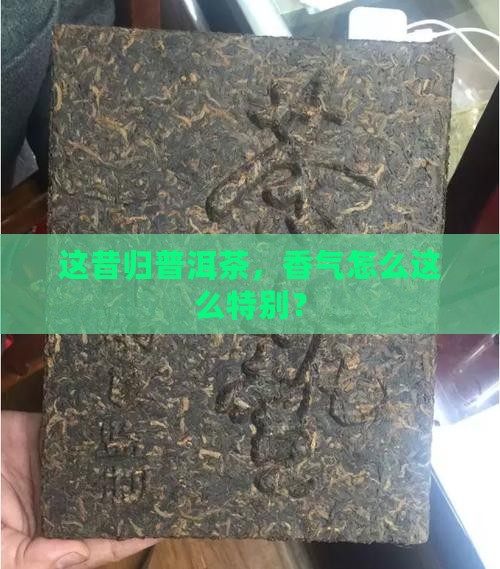 昔归普洱茶香气特殊