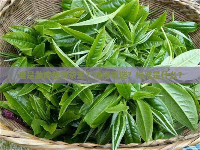 勐库普洱茶王评选