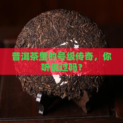 普洱茶标准号级茶