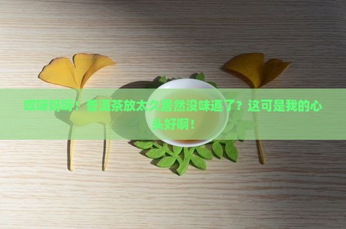 普洱茶放太久没味道