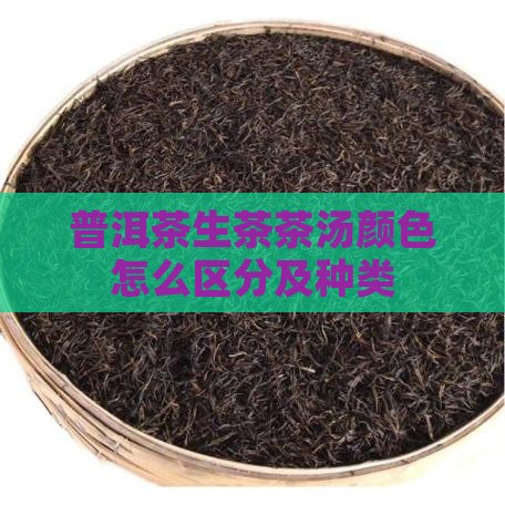 普洱茶生茶茶汤颜色