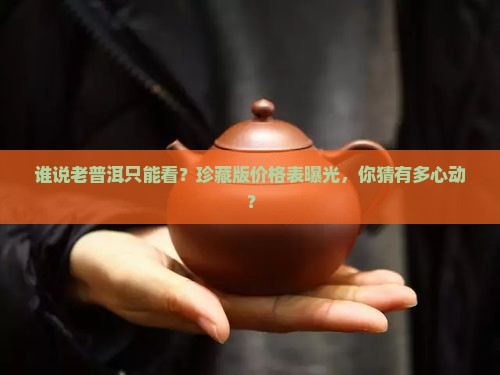 陈年普洱茶珍藏品价格表