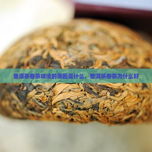 普洱茶春茶味淡的原因是什么