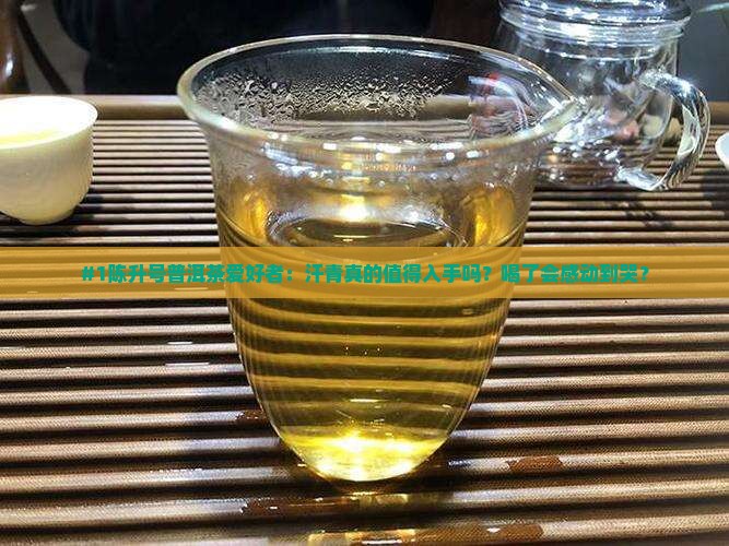 陈升汗青普洱茶 陈升汗青普洱茶