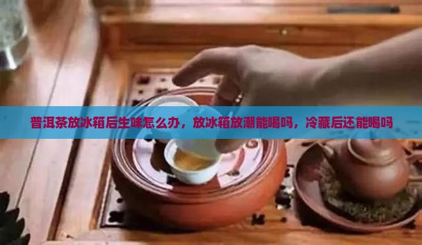 普洱茶放冰箱后生味怎么办