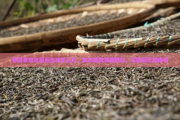 普洱茶放冰箱后生味怎么办