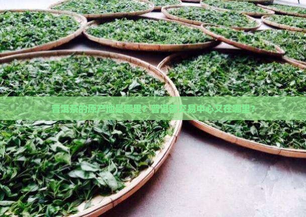 普洱茶中心在哪里