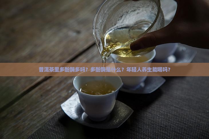 普洱茶里多酚酶多吗吗能喝吗