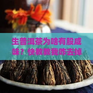 生普洱茶的咸味怎样取消