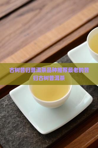 最老的昔归古树茶