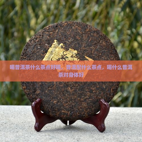 喝普洱茶什么茶点
