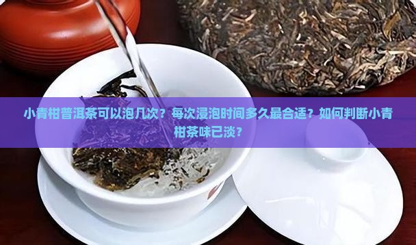 小青柑普洱茶浸泡次数