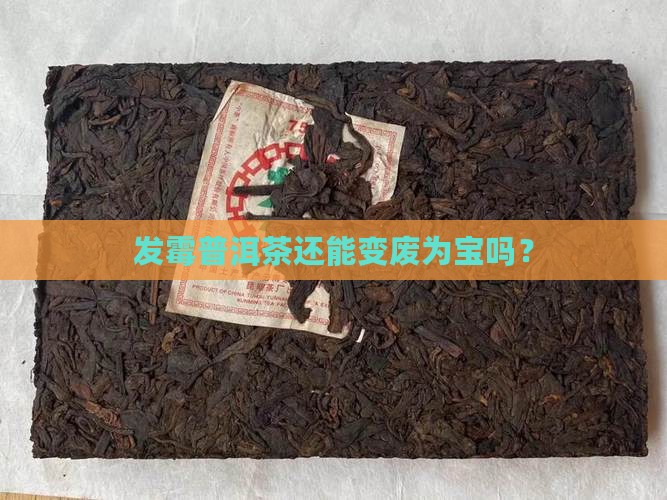 发霉普洱茶还有什么用