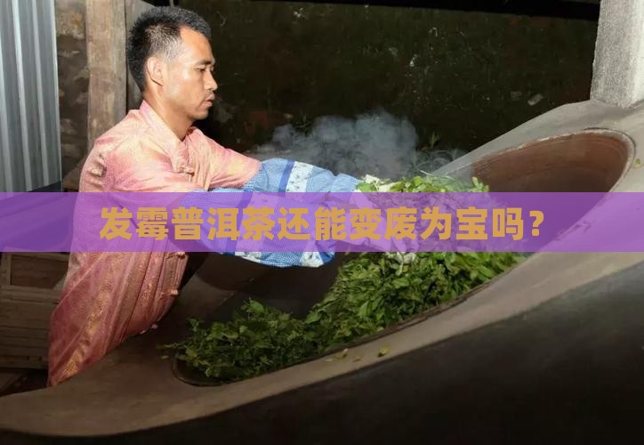 发霉普洱茶还有什么用